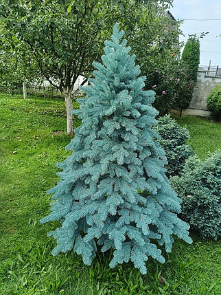 Лита ялинка Ковалівська 1.50 м. блакитна / Штучна пластикова ялинка, фото 1