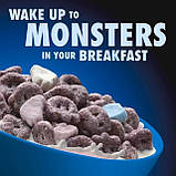 Сухий сніданок Boo Berry with Monster Marshmallows Limited Edition 453.59g, фото 4