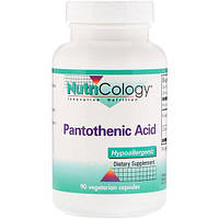 Пантотеновая кислота Nutricology Pantothenic Acid 90 Veg Caps BX, код: 7538259