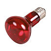 Інфрачервона лампа розжарювання Trixie 35 W, E27 (для обігріву), фото 3
