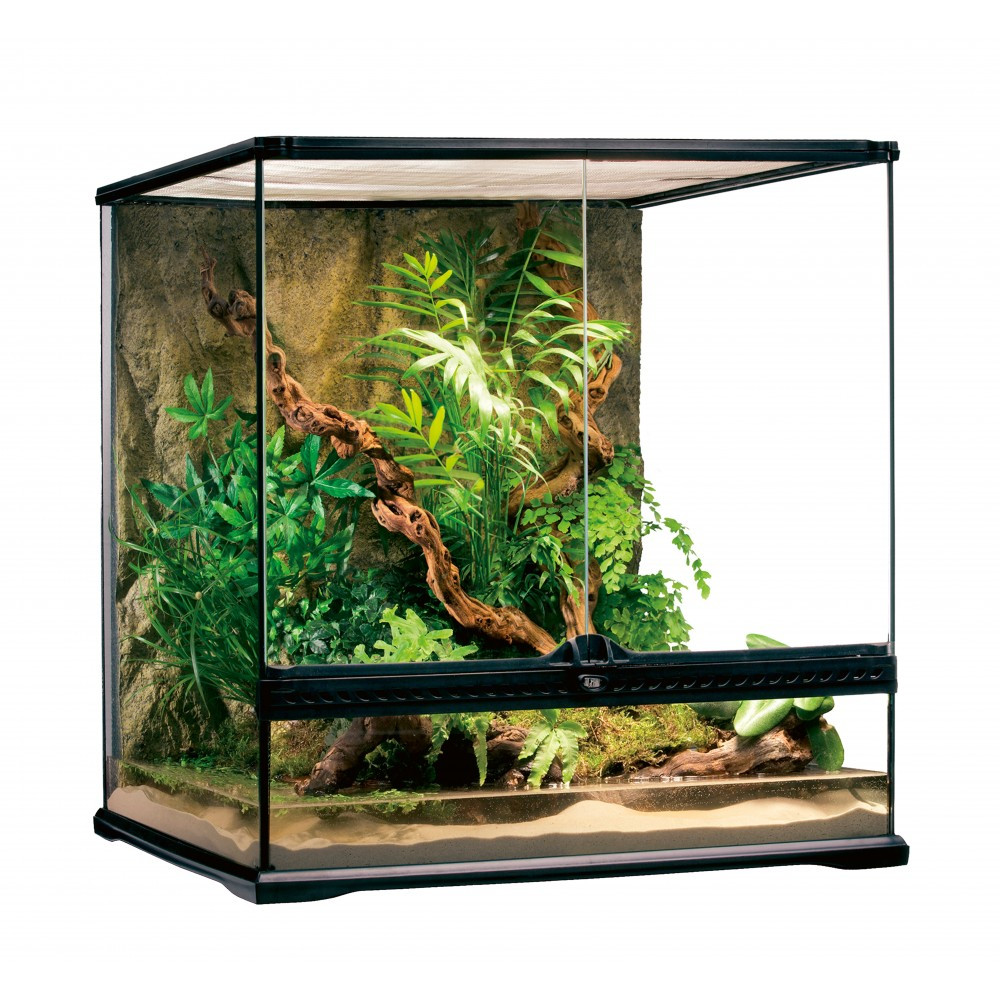 Террариум Exo Terra Natural Terrarium стеклянный, 60 x 45 x 60 см - | Ну купи :) | - фото 3 - id-p1963690262