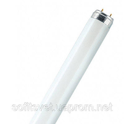 Люмінесцентна лампа T8 G13 18W/54-765 Philips