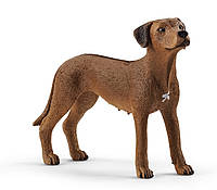 Іграшка фігурка Schleich Родезійський риджбек