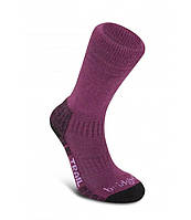 Носки Bridgedale Woolfusion Trail Wmns Berry L (1053-610652.370.L) FV, код: 7930275