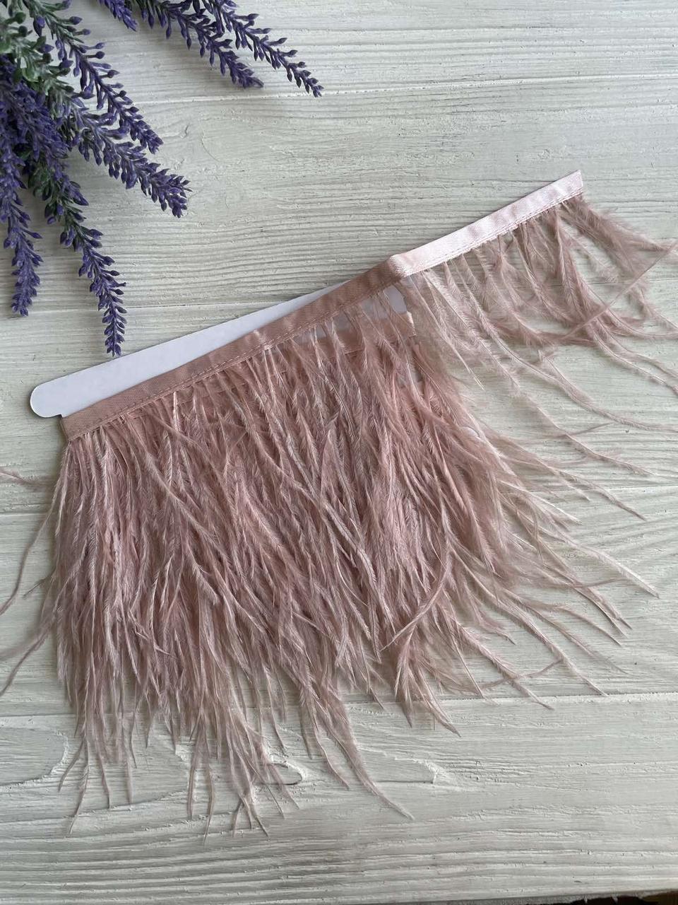 Пір'яна  тасьма СТРАУС  2 метри , пудра