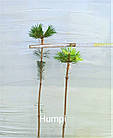 Саджанці Сосни гірської Хампі на штамбі (Pinus mugo Humpy) С2, фото 2