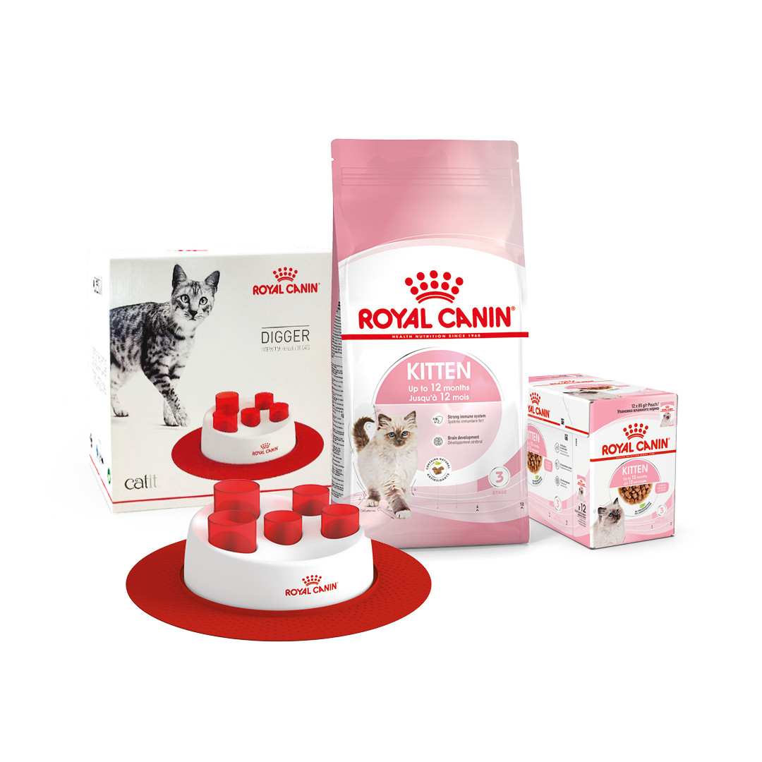 Royal Canin Kitten 2 кг - корм для кошенят від 4 до 12 місяців + 12 паучів + іграшка