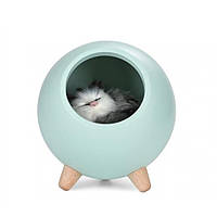 Ночной светильник Led Cat House Ночник Green