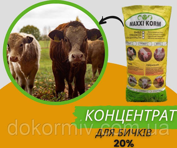 Концентрат 25% для телят, бичків, фото 1