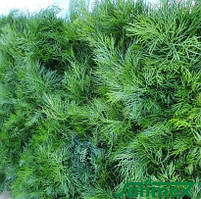 Насіння кропу Пахучий 2 г