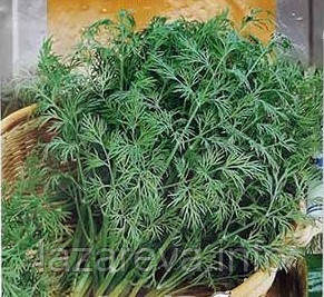 Насіння кропу Мамонт 2 г, фото 1