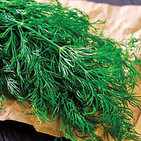 Насіння кропу Алігатор 2 г