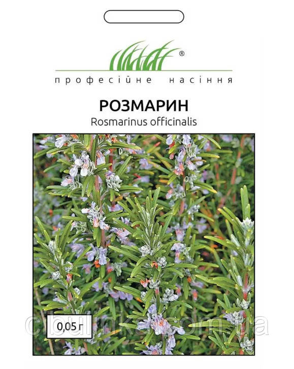 Насіння Розмарин Професійне насіння 0.05 г, фото 1