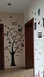 Вінілова наклейка на стіну Дерево для фотографій з фоторамками велика 200 см на 250 см, фото 4