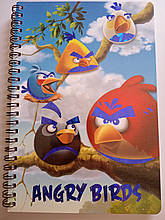 Зошит блокнот 60 аркушів клітинка на спіралі А5 Angrybirds Лідер-канц