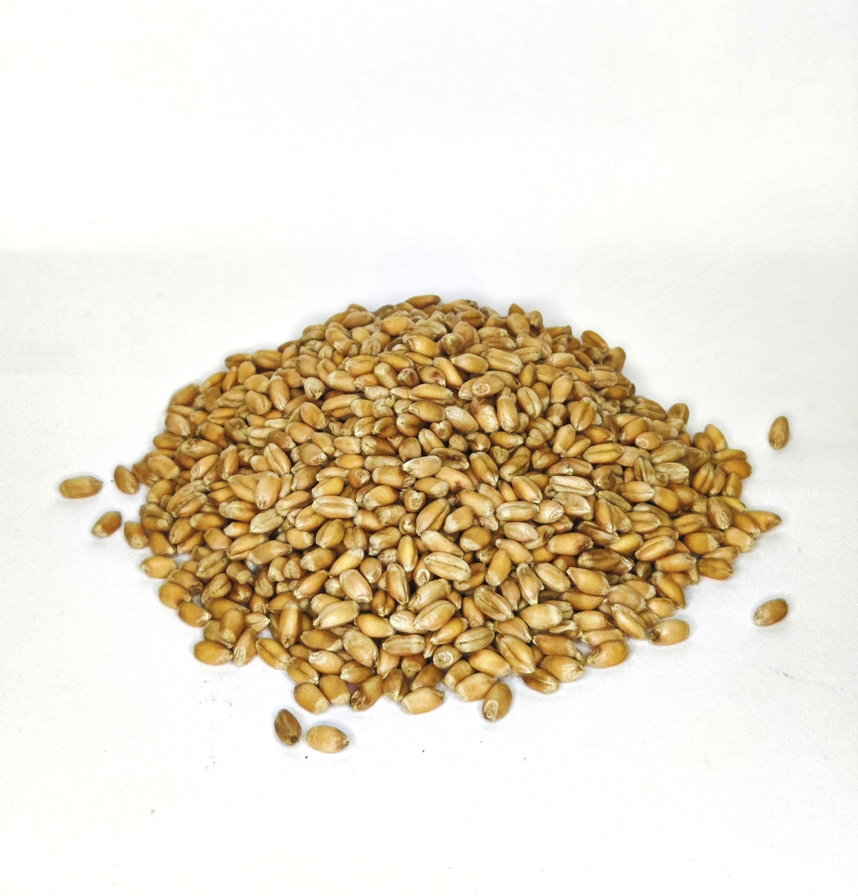 Насіння пшениці для для пророщування та вживання в їжу 1 кг
