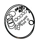 Ремкомплект прокладень і сальників АКПП A6LF1/2/3 10-up, фото 2