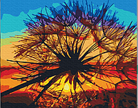 Картина Рисование по номерам Абстракции цветы Набор для росписи Одуванчик на закате лета 40x50 Brushme BS35667