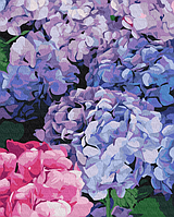 Картина Рисование по номерам Цветы Яркая гортензия Картины в цифрах Раскраска по номерам 40х50 Brushme BS51667