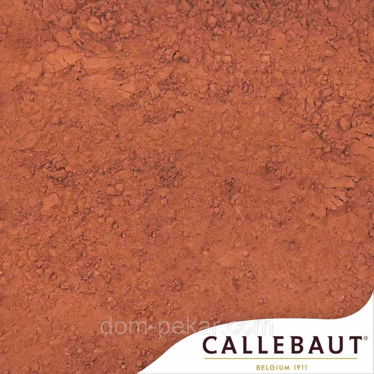 Какао порошок Cacao Barry алкалізований Extra Brut 22% (вага) (100 г.)