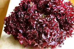 Насіння салата Лола Росса 1 г