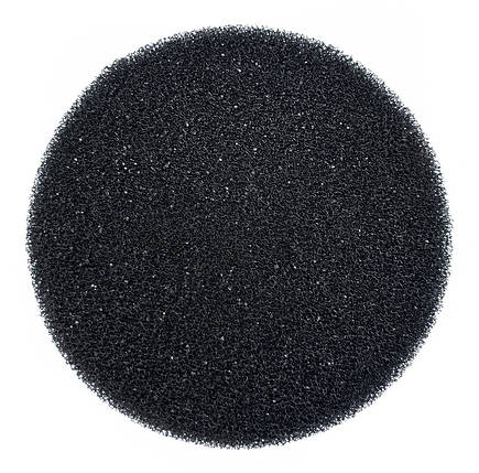 Вкладка до фільтрів SunSun HW603/603B, губка., фото 1