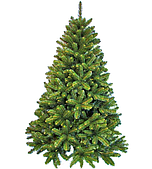 Європейські ялинки