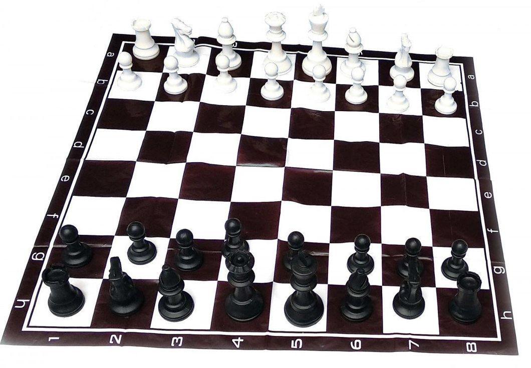 Шахи дорожні в блістері Duke (DN32548)