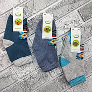 Шкарпетки дитячі високі зимові з махрою р.14 (3-4 роки) паровозик асорті ЕКО 30032772, фото 8