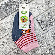 Шкарпетки дитячі середні зимові з махрою р.12 (1-2 роки) собачки асорті ЕКО 30032375, фото 8