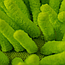 Рукавичка мікрофіброва з довгим ворсом Chenille Microfiber Car Wash Mitt Green, фото 3