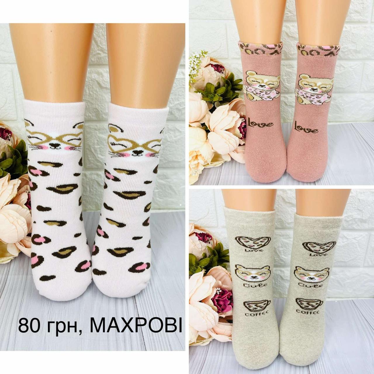 Махрові  шкрпетки для дівчинки якісні Турецькі