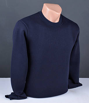 Чоловічий світшот утеплений на флісі великого розміру синій Туреччина 6134 Б