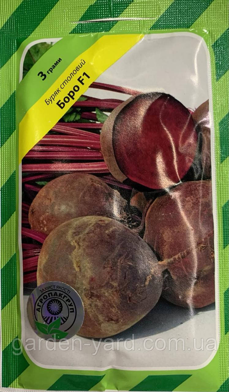 Насіння буряк Боро F1 Bejo Zaden, Голландія