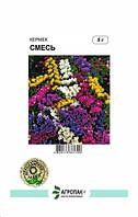 Насіння квітів Кермек суміш 5 г Агропак плюс