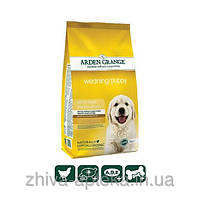 Сухий корм для ЦУЦЕНЯТ і ЮНІОРІВ супер преміум класу