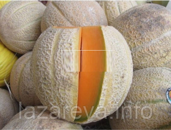 Насіння дині Сан-Ремо 3 г, фото 1