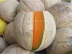 Насіння дині Сан-Ремо 3 г