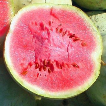 Насіння кавунів Чумак 3 г, фото 1