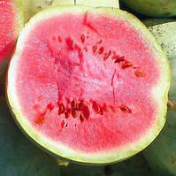 Насіння кавунів Чумак 3 г