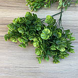 Букет самшит пластик 35 см густий, фото 2