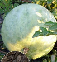 Насіння кавунів Білий 3 г