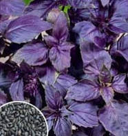 Базилік Фіолетовий 1 г