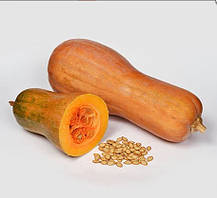 Насіння гарбуза Доля  5 гр