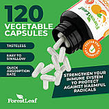 Ліпосомальний вітамін C ForestLeaf Liposomal Vitamin C 1000 мг 120 вегетаріанських капсул, фото 4