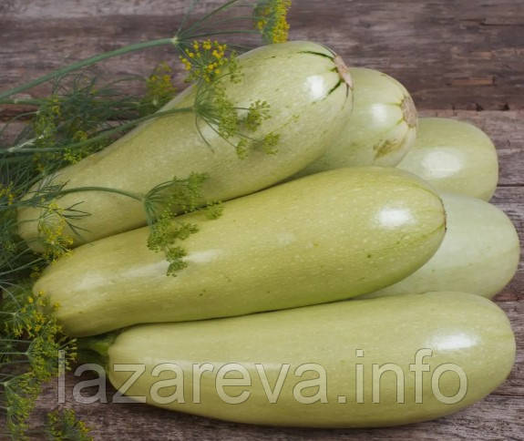 Насіння кабачків Грибовський 15 насінин