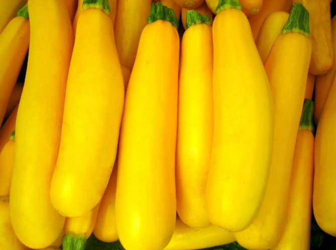 Насіння кабачків Світозар 10 нас, фото 1