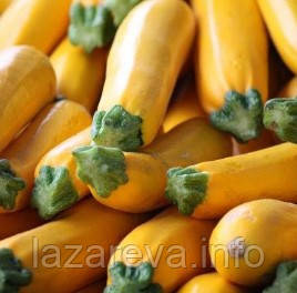 Насіння кабачка Золотинка 15 гр, фото 1