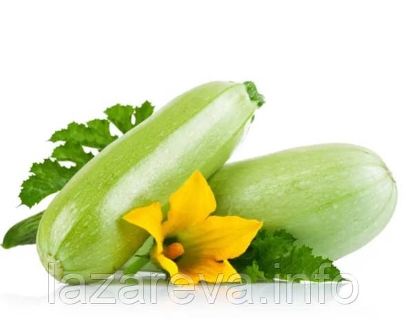 Насіння кабачків Чаклун 10 нас, фото 1