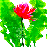 Штучна рослина для акваріума Кущ-039C з висотою 39 см, фото 2